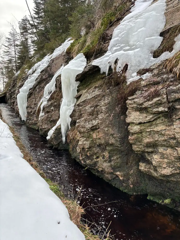 Eiszapfen am Rehberger Graben