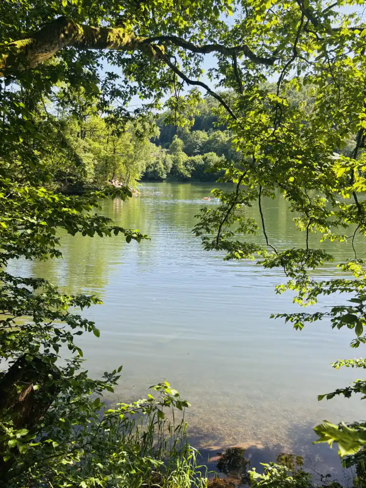 Kleine Badebucht am Wiesenbeker Teich mit klarem Wasser unter Buchenästen